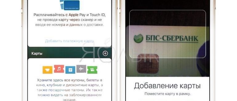 дорожные и mtb