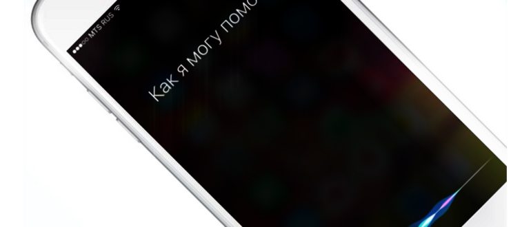 Есть ли у Xiaomi что-то