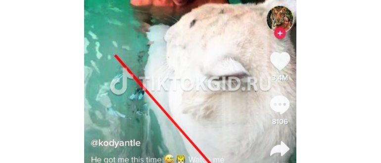 Китайский и корейский Тик Ток: как