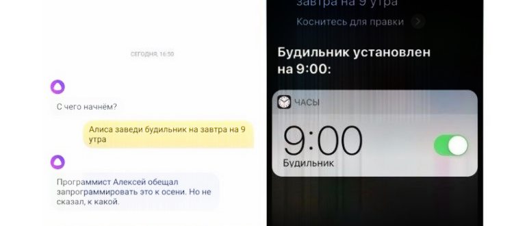 Алиса, прочитай эту статью: инструкция по