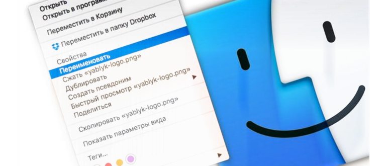 Как переименовать файл на Mac (macOS): 4