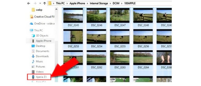 Перенос данных с iPhone на Android: пошаговая