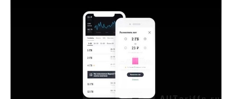 Как продать гигабайты на Теле2 за деньги: работа в