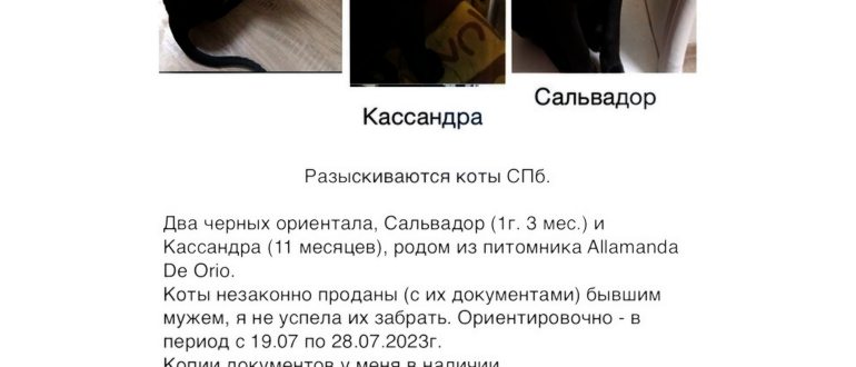 Как включить голосовой поиск «Окей, Google»: 2
