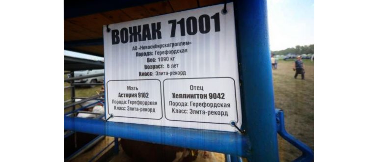 QR-код подтверждает вакцинацию или перенесенное