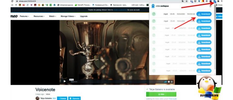 Скачать ролик Ютуб с Андроида через телеграм