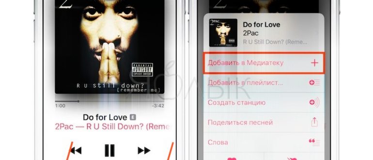 Как сохранять песни (музыку) из Apple Music на