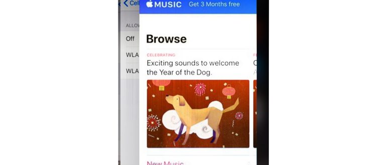 Как быстро скачать всю музыку из Apple Music