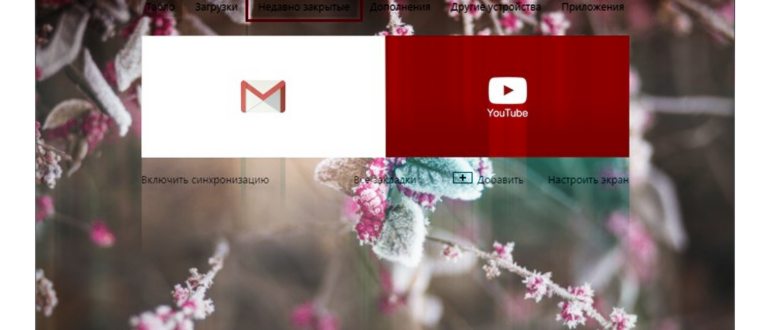 Папка профиля пользователя браузера Google