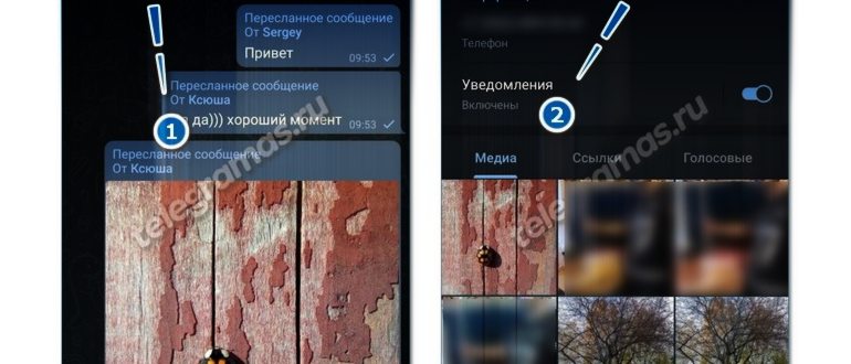 Видеовызов