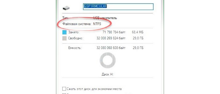 Указываем тип файловой системы -