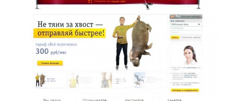 карта,сим,оператора,узнать,поддержка,пин