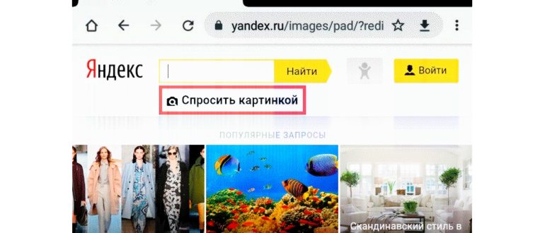 Сервис для загрузки фотографий с web