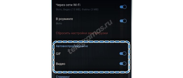 Путь сохранения файлов в