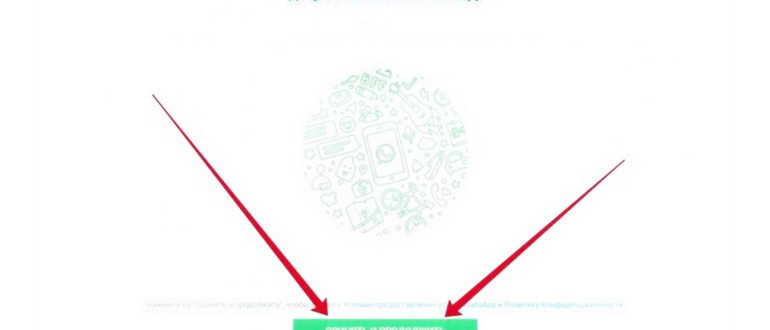 Используем WhatsApp на компьютере: 3 лучших