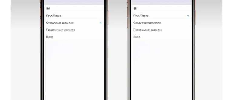 https://sun9-11.userapi.com/impg