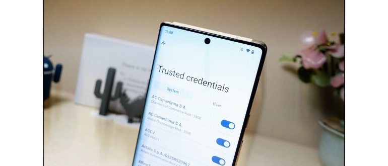 На устройстве установлен сертификат ЦС ваш