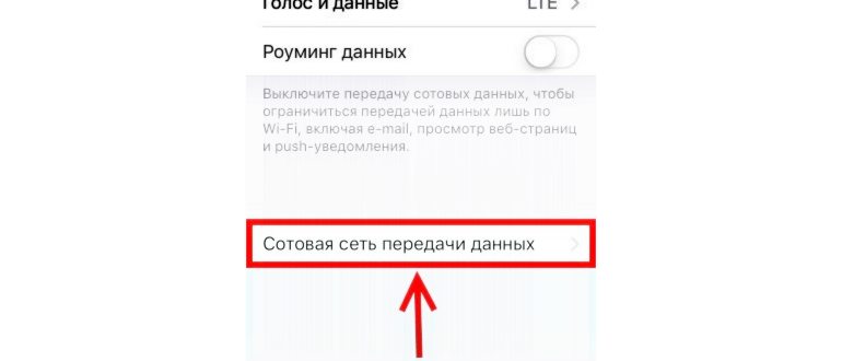 Carrier на Айфоне 6 S в режиме модема - как