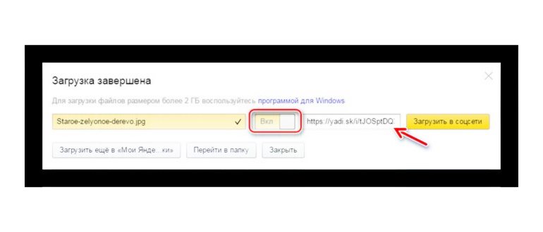 Картинка_24