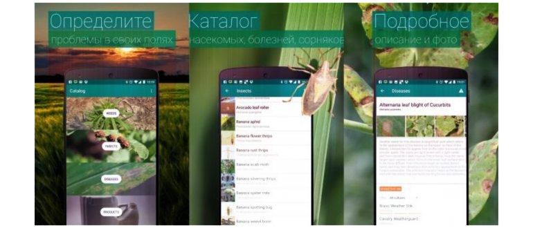 Приложение Seek для распознавания растений по