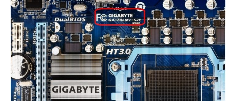 Как обновить драйвер для видеокарты на Windows