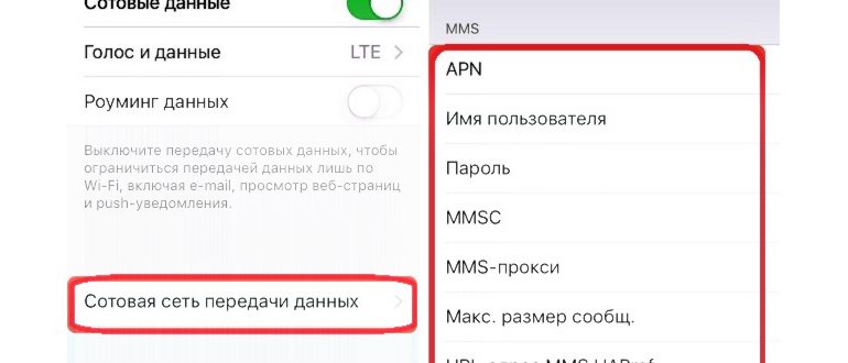 делимся