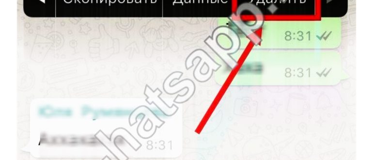 групповой чат в WhatsApp на