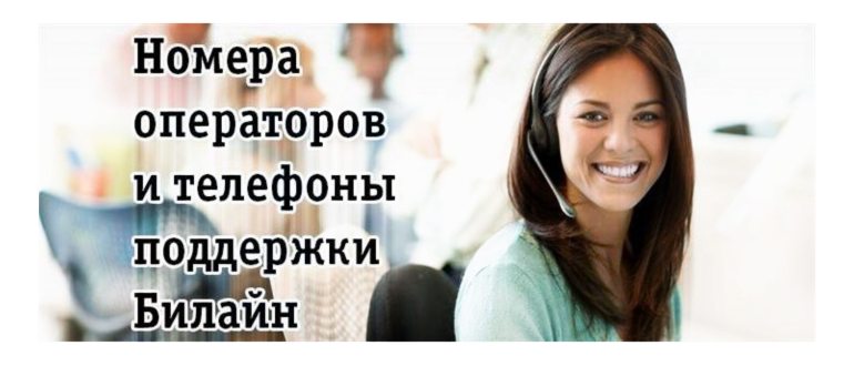 Бесплатная горячая линия