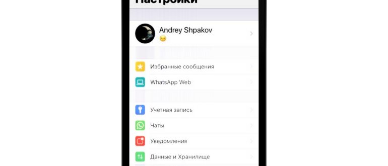 скачать вотсап на айфон
