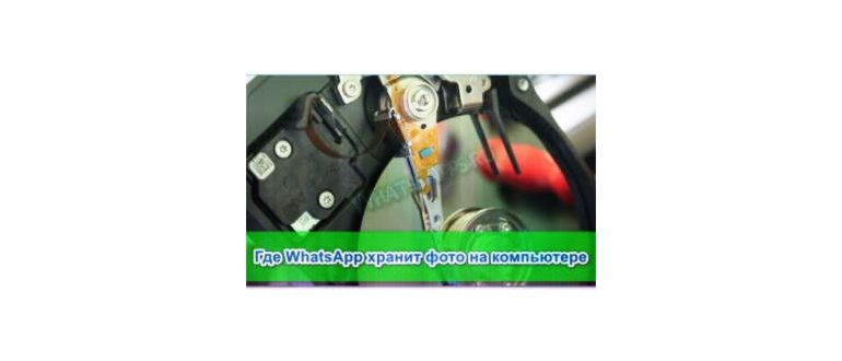 Где хранятся фото в WhatsApp на компьютере, как