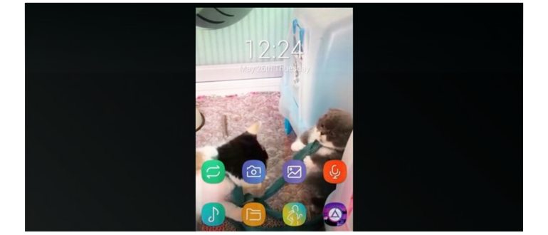 видео
