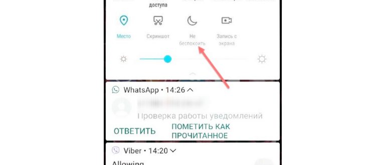 Режим Не