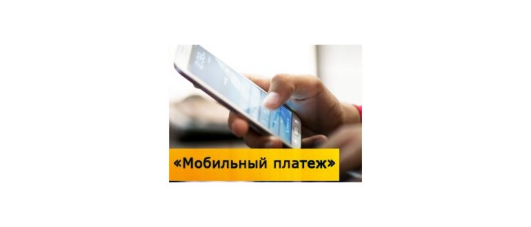 оплатить интернет Билайн через