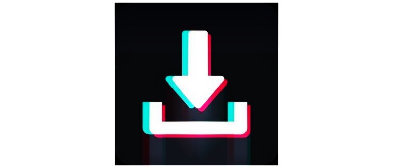 Приложение TikTok Downloader для сохранения видео