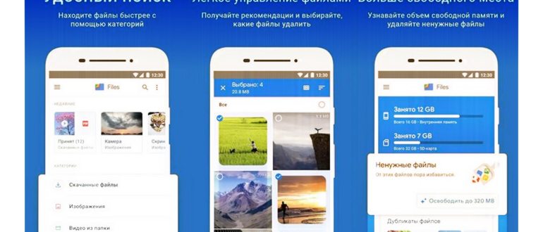 режим