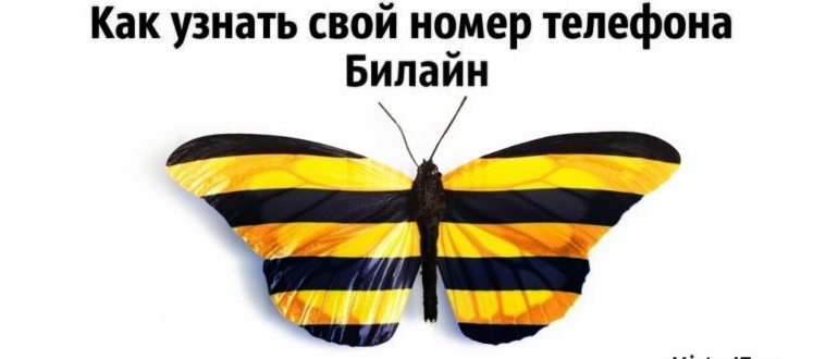 No