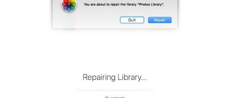 Как перенести фото и видео с iPhone на флешку или