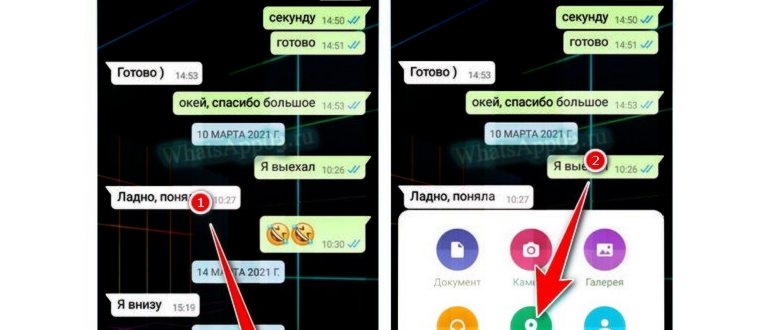 Отправить