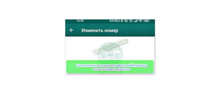 Как обновить WhatsApp на смартфоне с ОС