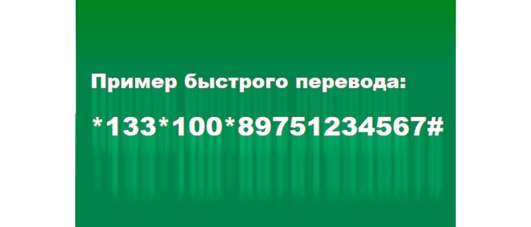 Перевод-через-сервис