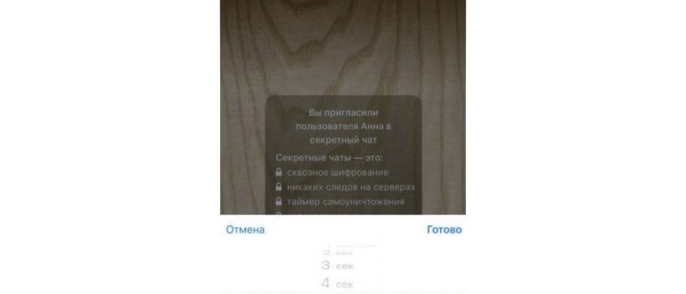 Секретный чат