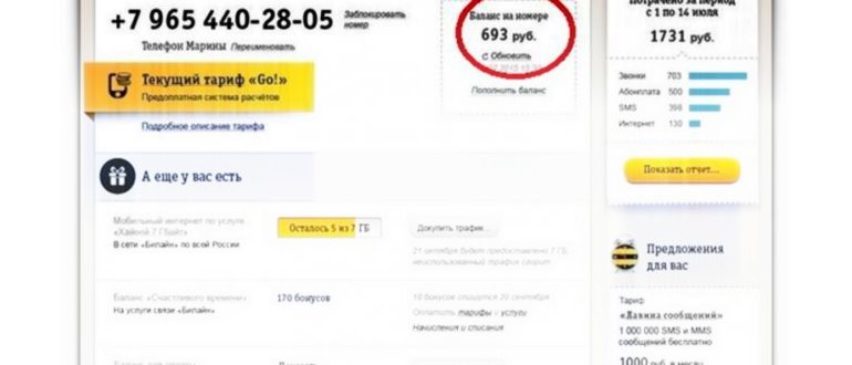 Как узнать свой номер Билайн телефона: на