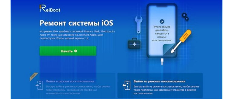 Аурикуларес