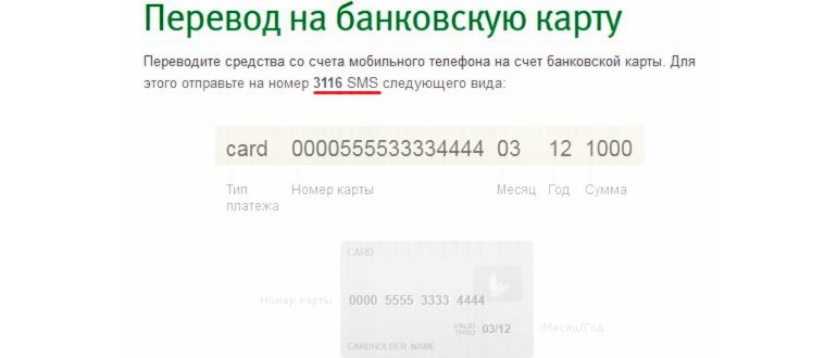 телефон возле