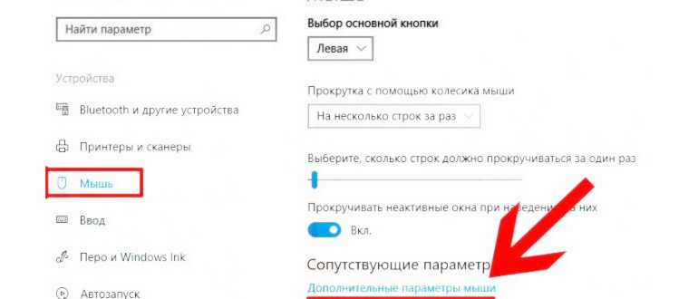 Мышь