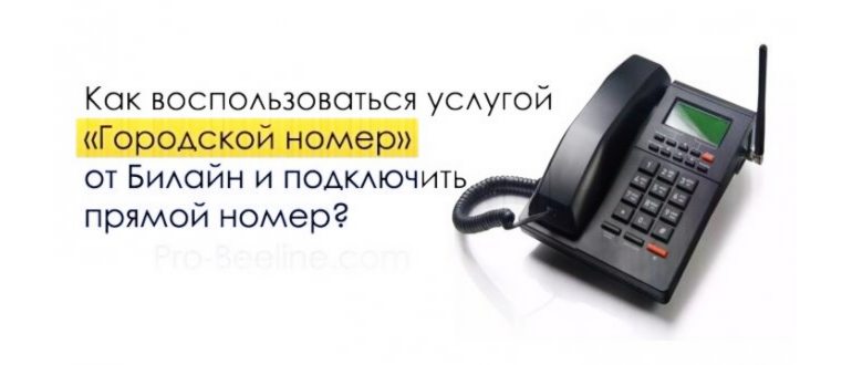 Функция