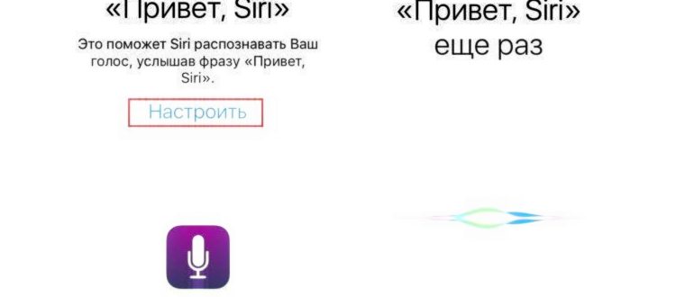 Как изменить голос и язык Siri
