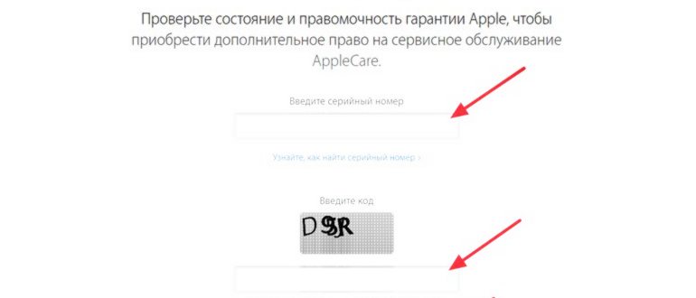 Осмотр внутренностей