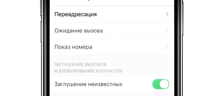 Заглушенный вызов на iPhone: как включить или
