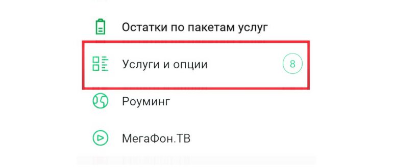 Услуги-и-опции-в-мобильном